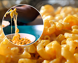 Michigan Big Cheese Mac & Cheese Festival – What You Need To...