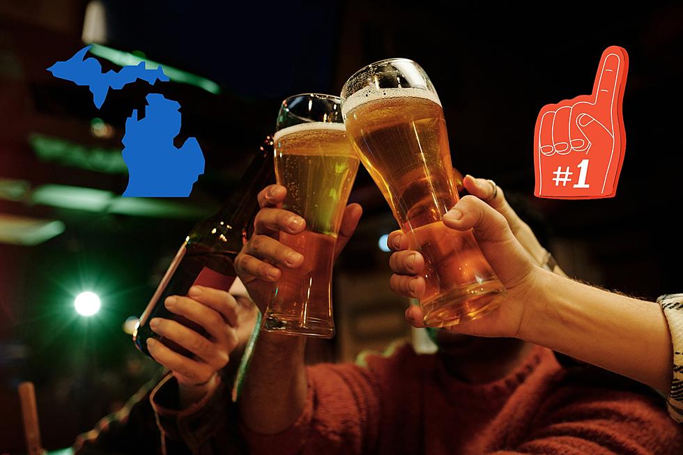 Cheers! Michigan is #1 in the United States for Beer Lovers