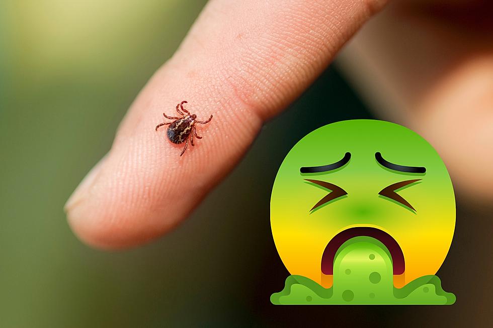 Michigan Can Expect Another Awful Tick Season in 2023