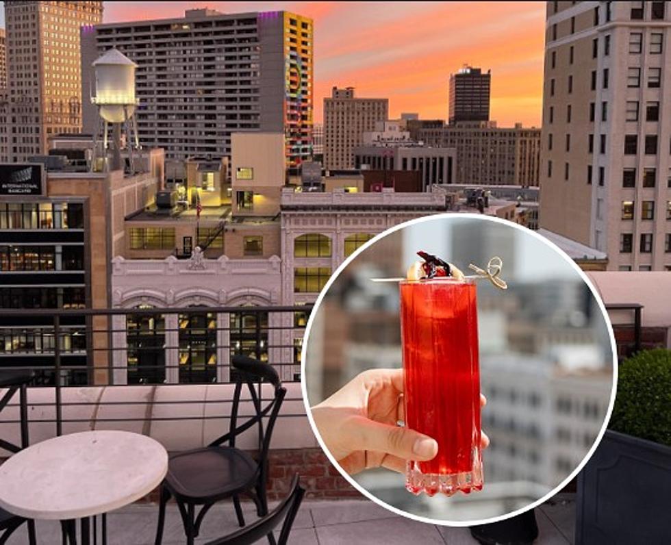 Have You Been To Michigan's Best Rooftop Bar?
