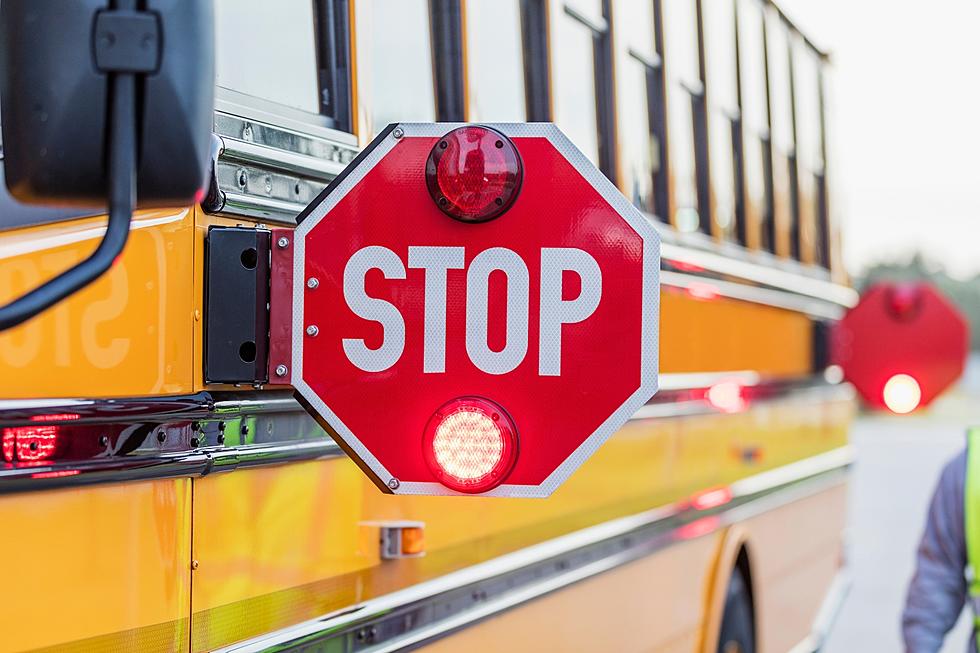 Urgent Call for Grand Blanc Residents to Stop for School Bus Flashing Lights