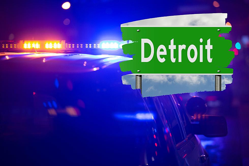 Detroit Bus Driver Faces Backlash Following 2nd Pedestrian Fatality