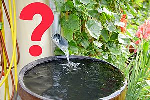 Is It Illegal To Collect and Save Rainwater in Michigan?