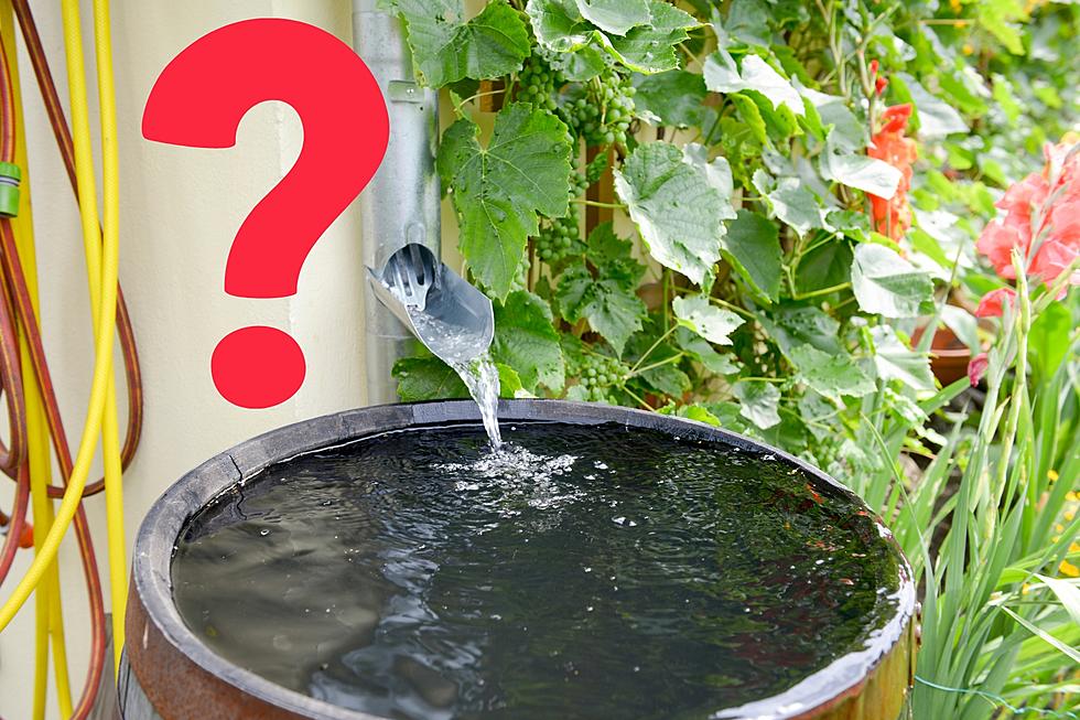 Is It Illegal To Collect and Save Rainwater in Michigan?