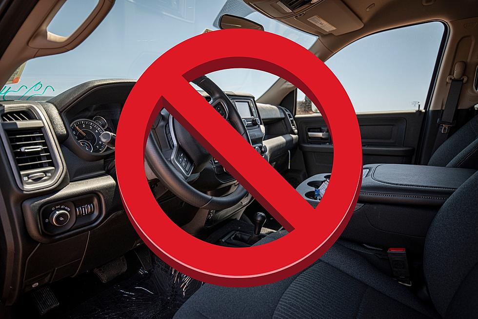 Nine Things You Shouldn’t Leave in Your Car on a Hot Michigan Day