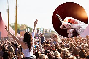 Is It Legal to Smoke Weed at Outdoor Concert Venues in Michigan?