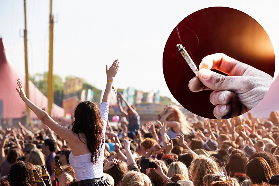 Is It Legal to Smoke Weed at Outdoor Concert Venues in Michigan?