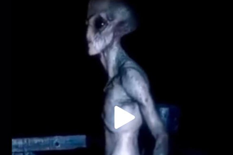 Viral Alien Video Claims to Be From Lake House on Lake Huron