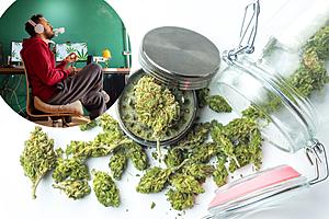 Michigan Will No Longer Test for Marijuana for Many Jobs