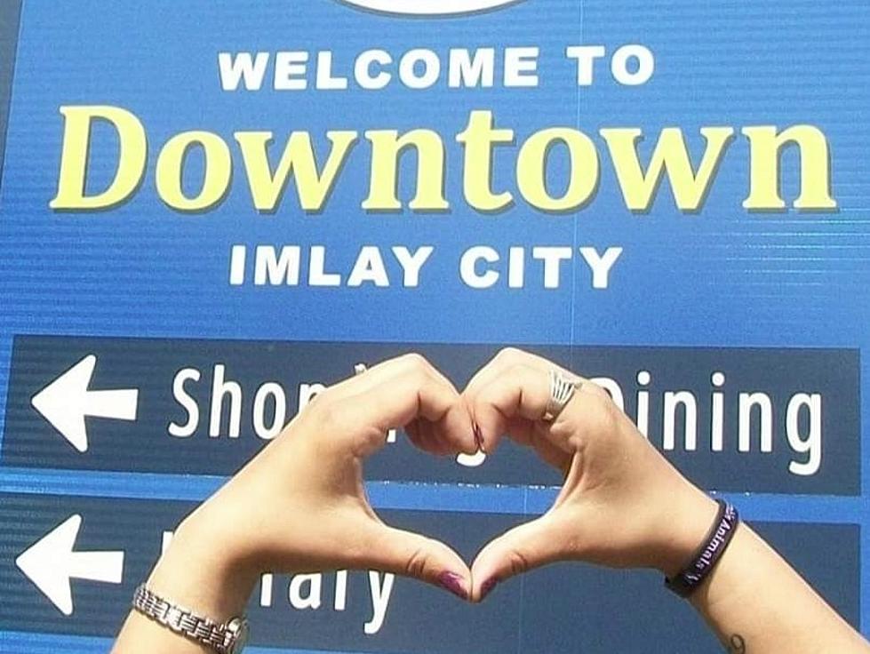 Imlay City Summer Fest – What You Need To Know