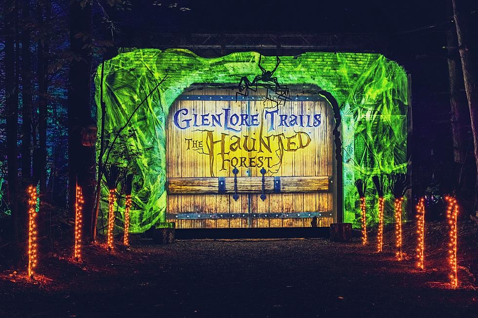 CarnEvil- This Illuminated Haunted Forest in MI Opens This Friday