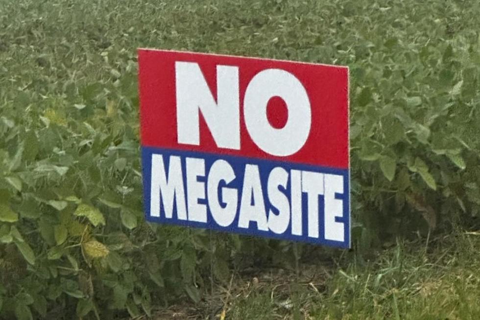 Have You Seen 'No Megasite' Signs Popping Up in Genesee County?