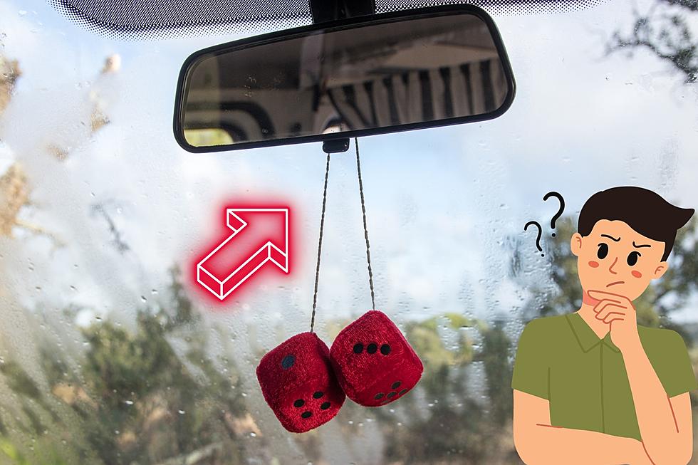 Is It Illegal to Hang Things From Your Rearview Mirror in Michigan?