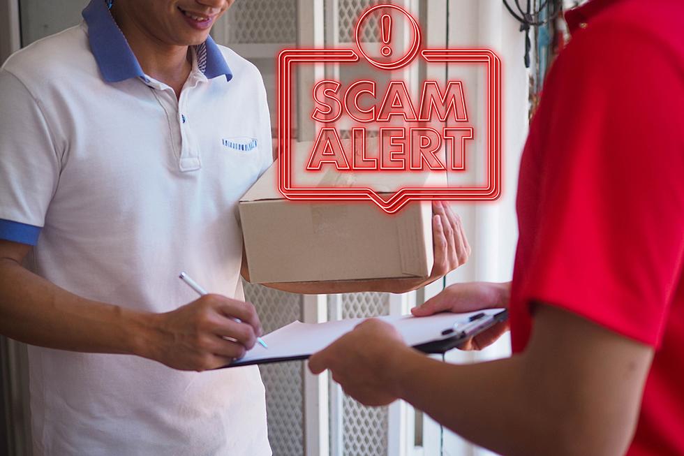 Michigan Residents Beware: Brushing Scams are on the Rise