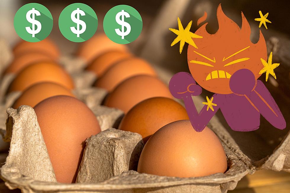 This is Why Egg Prices Will Likely Go Up in Michigan Again