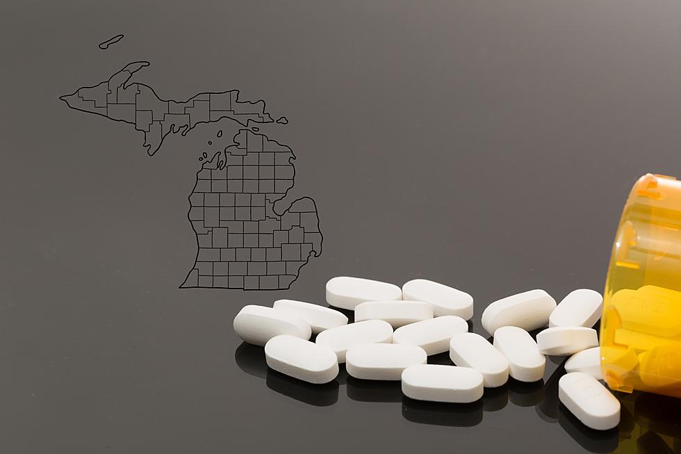 These 10 Counties in MI Dispense More Opioids Than the Others