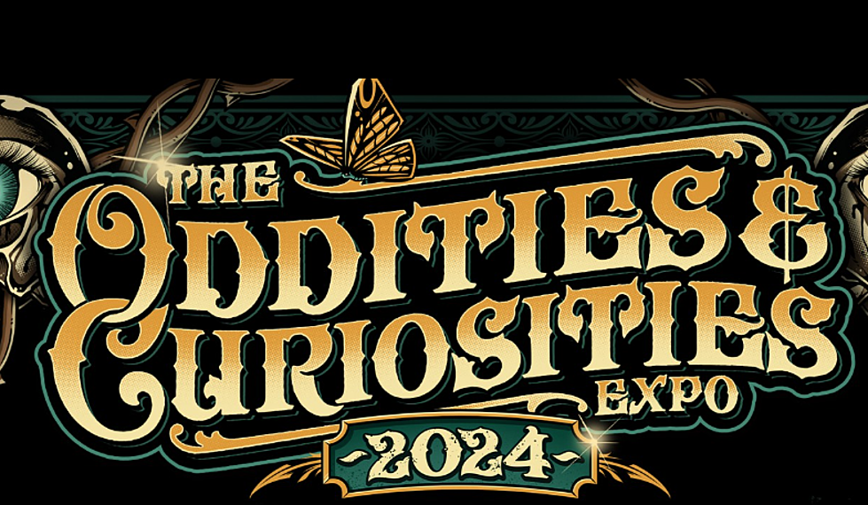 Oddities And Curiosities Expo In Novi &#8211; What You Need To Know