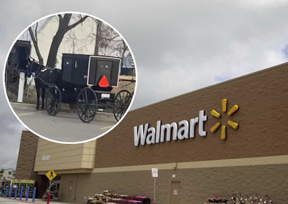 Amish Family’s Horse And Buggy Stolen At Michigan Walmart