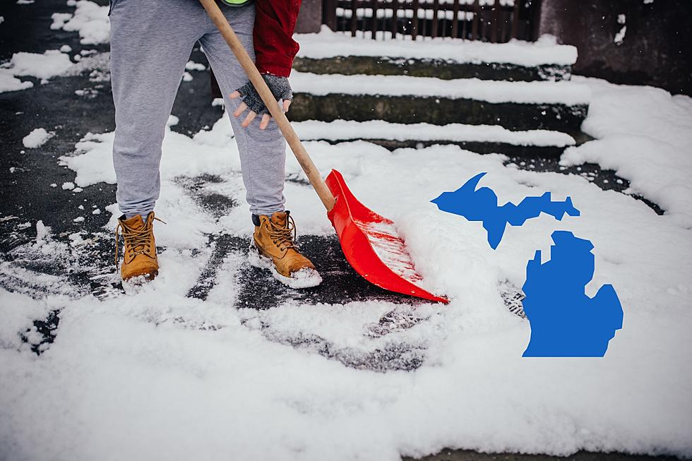 More Snow Coming to Punch Michigan in the Face Tomorrow