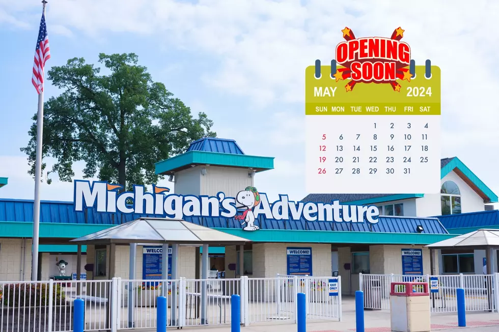 Michigan's Adventure 2024 - What You Need to Know