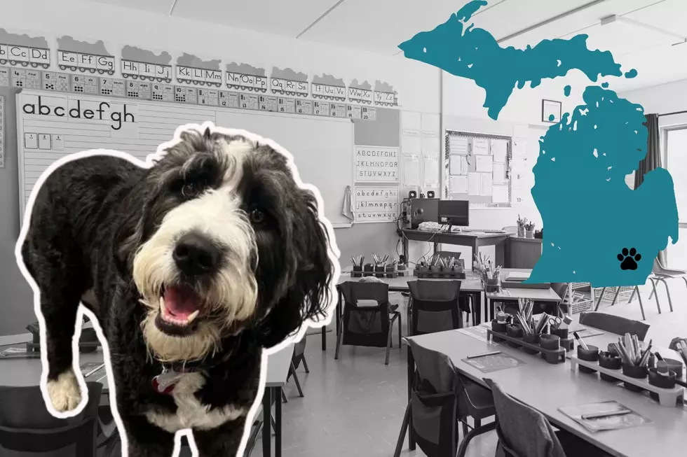 Michigan Teacher Alleges Principal Took Their Dog