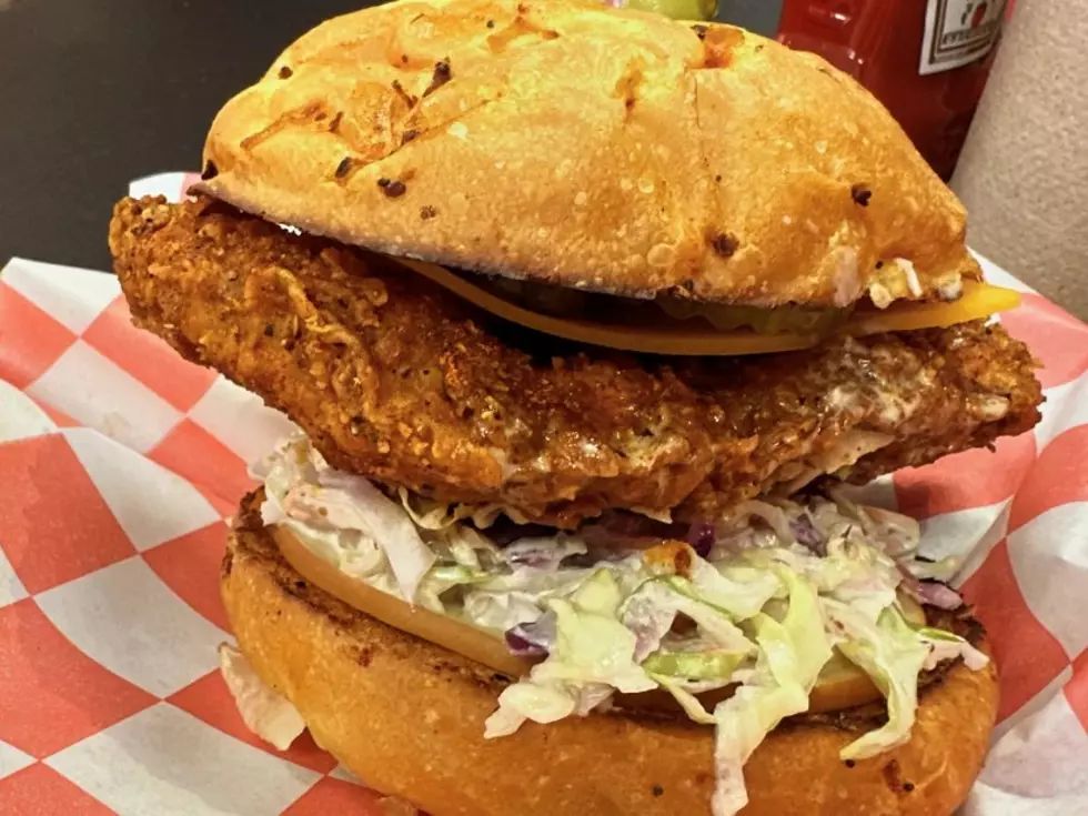 Indulge In Flavor – The Top Chicken Sandwich In Michigan Revealed