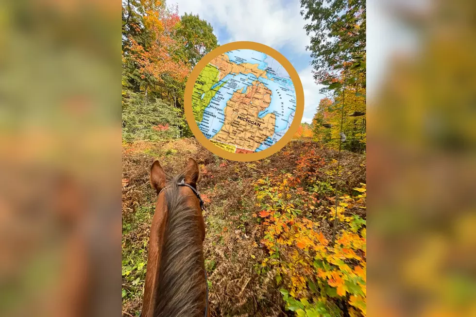 5 Beautiful Places To Horseback Ride In Michigan 