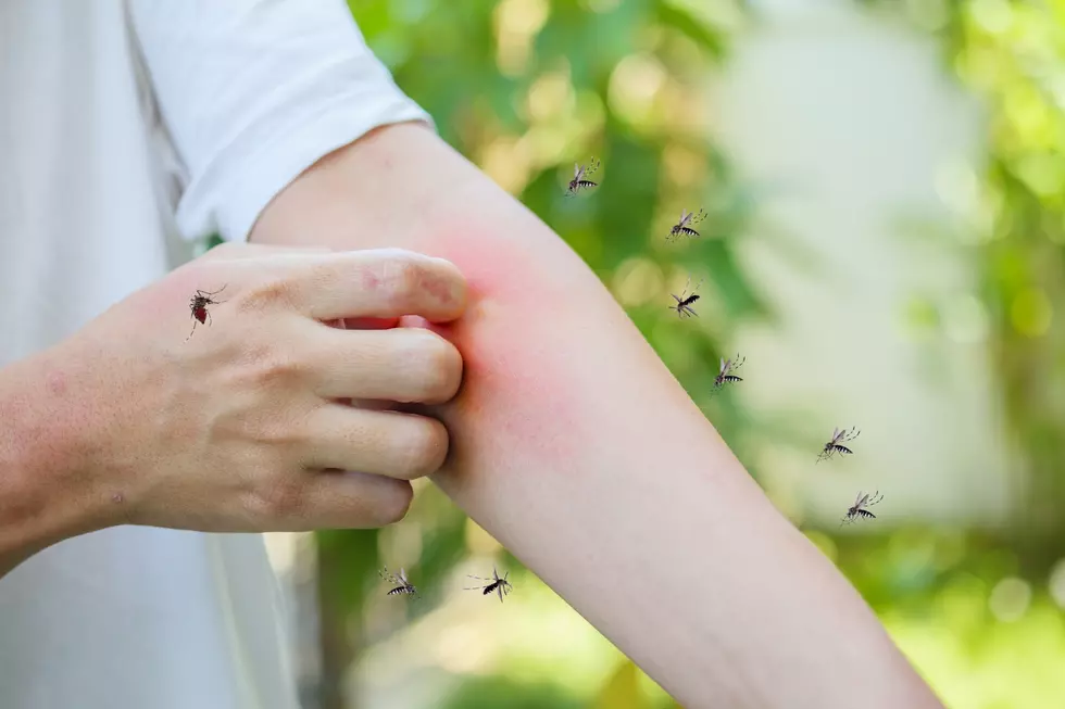West Nile Virus Creeps Into More of Michigan—Macomb Now on the List