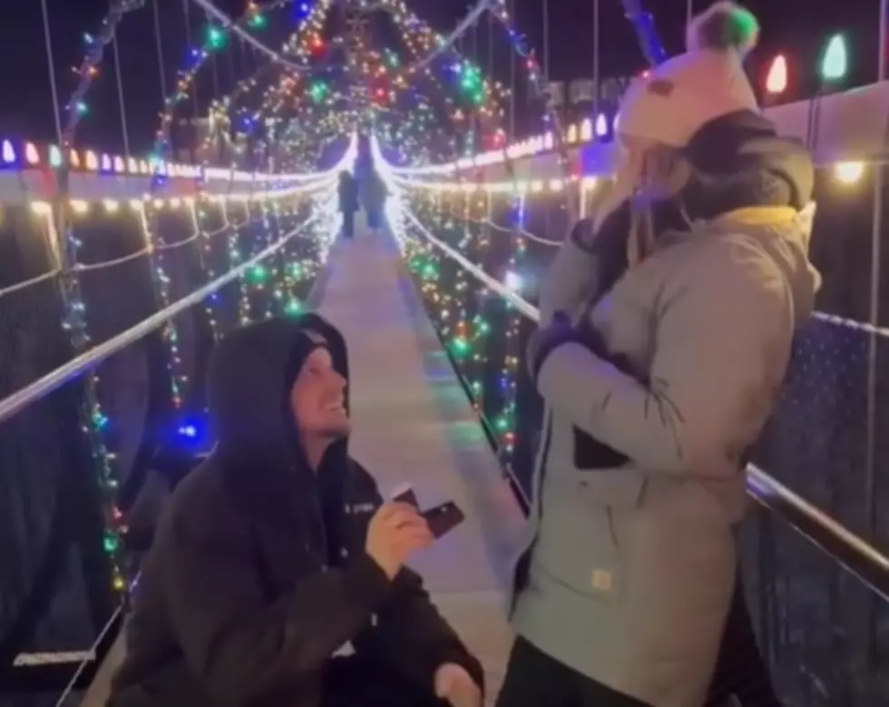 Michigan SkyBridge Proposal Goes Viral After Ring Falls