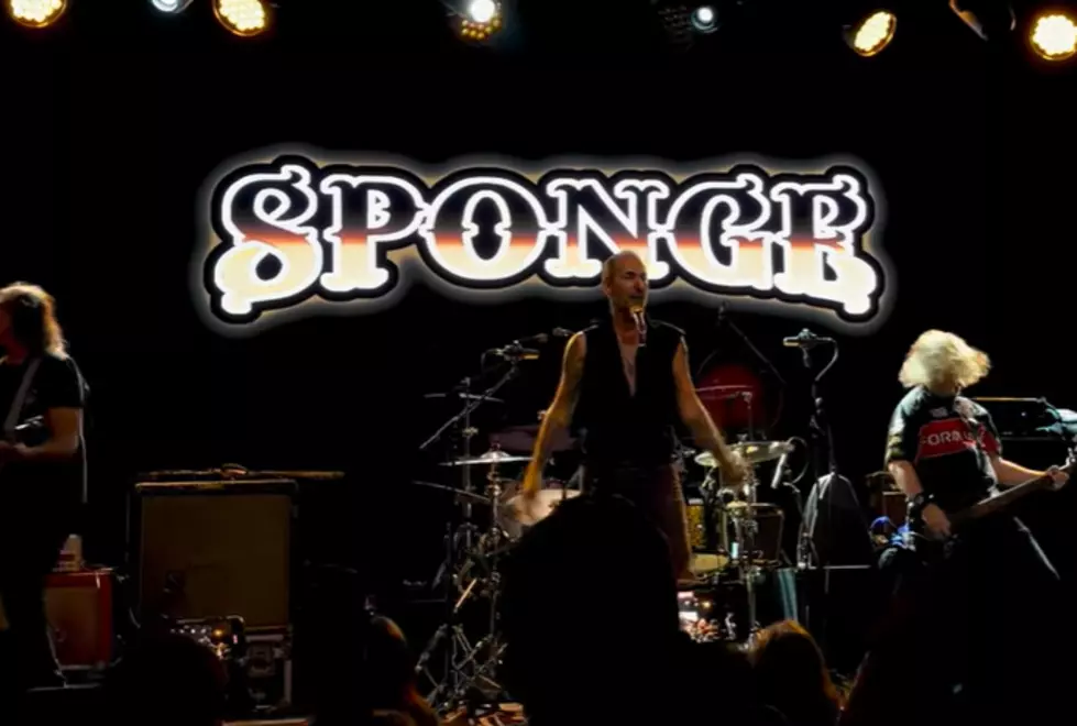 Royal Oak Free Summer Concert Series Includes Detroit’s Own Sponge