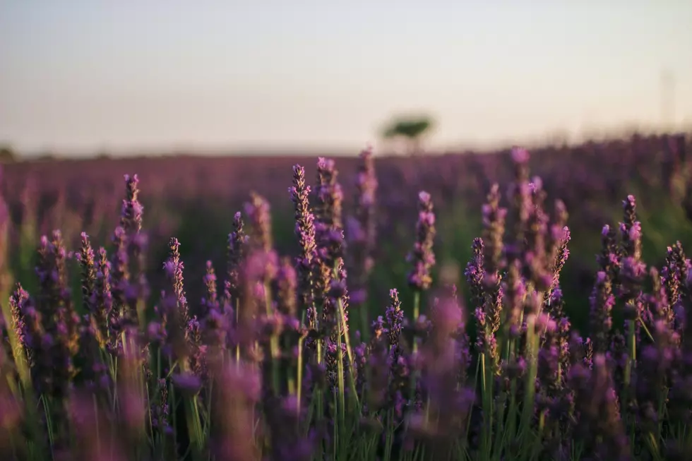 Clémence Taillez on Unsplash
