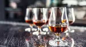 Detroit Bourbon & Blues Festival Brings Food, Music and Fun