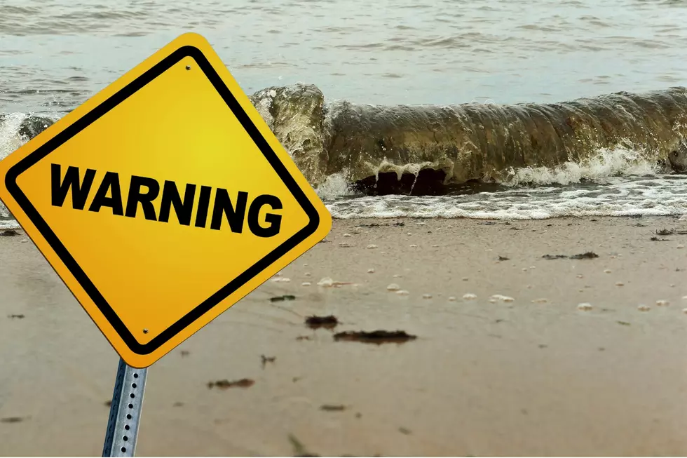 9 Michigan Beaches Closed or Under Advisories Right Now