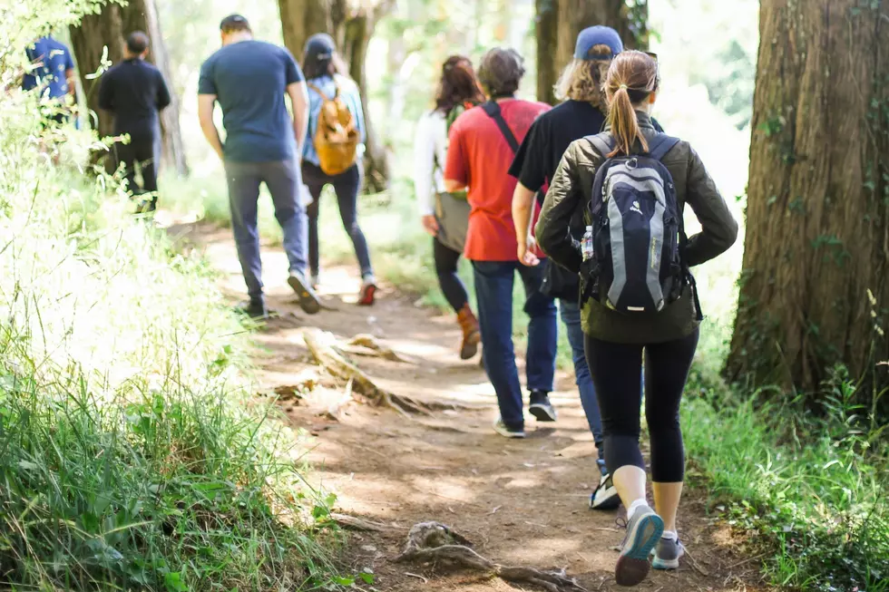 14 Michigan Hiking Trails With Thousands of Impressive Reviews