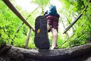 14 Michigan Hiking Trails With Incredible Reviews