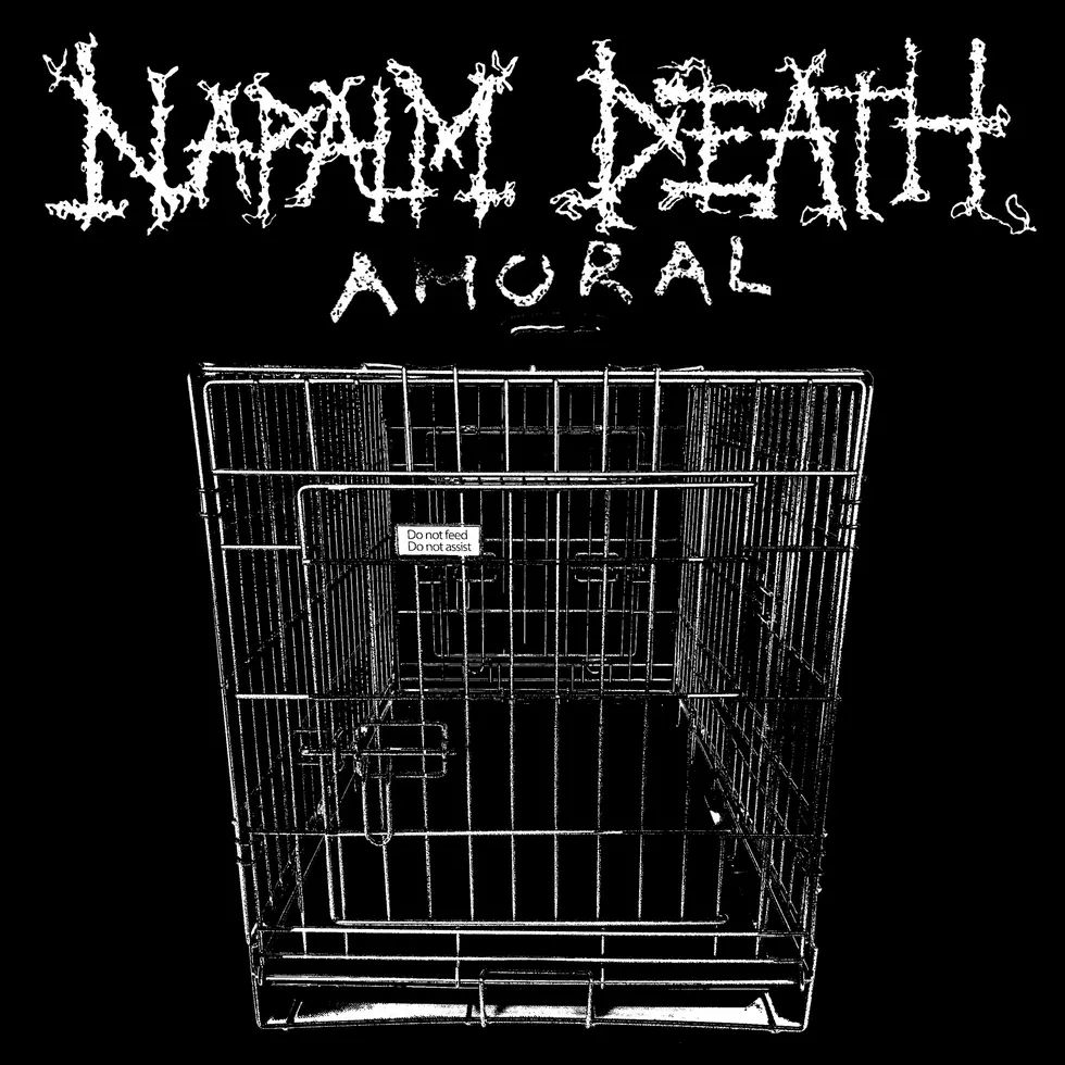 Napalm Death Release New Song &#038; Video &#8220;Amoral&#8221; Off Upcoming Album