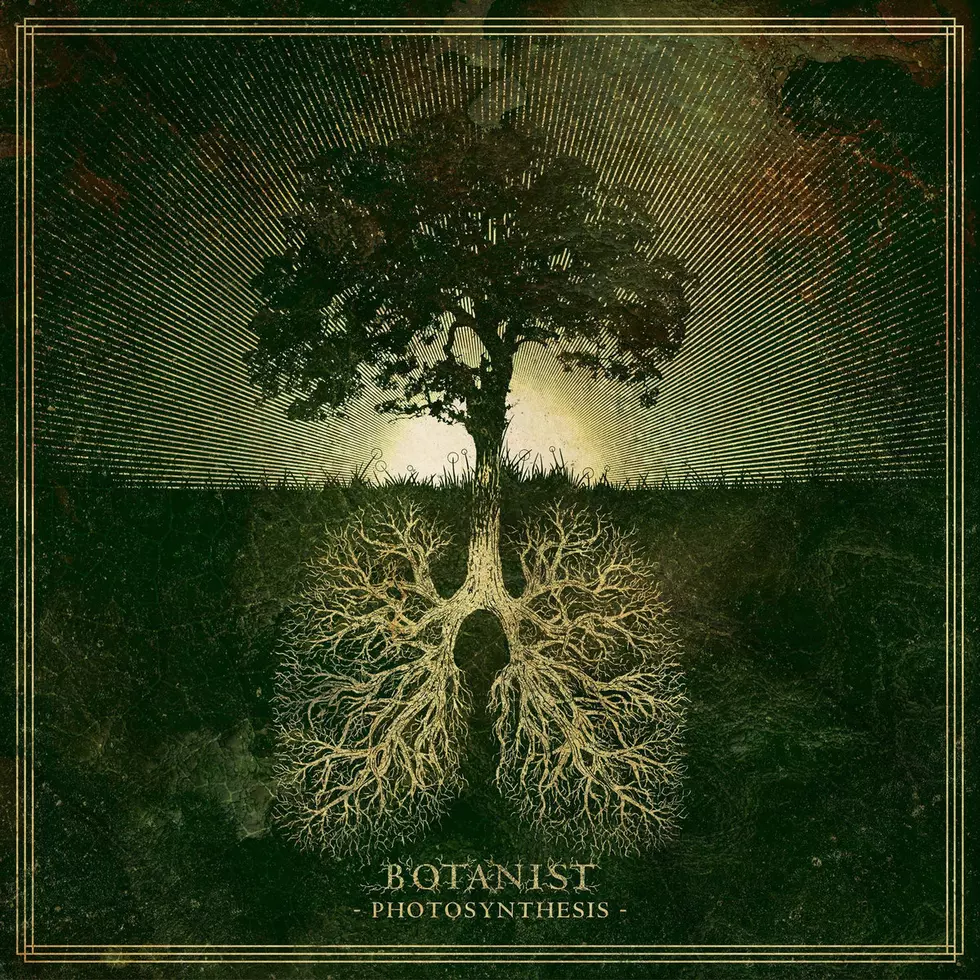 Botanist: Hammering the Dulcimer, Creating &#8220;Oxygen,&#8221; and Painting the World Green (New Song + Interview)