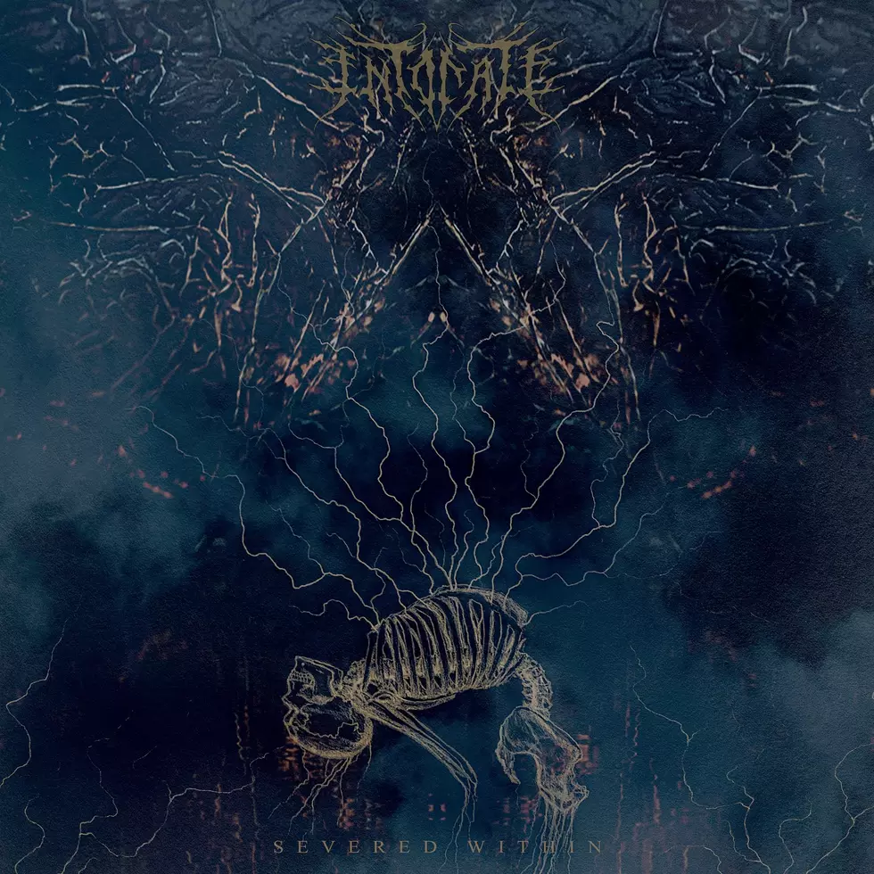 Intonate&#8217;s Introspective Death Metal Leaves Thoughts &#8220;Severed Within&#8221; The Mind (Early Album Stream)