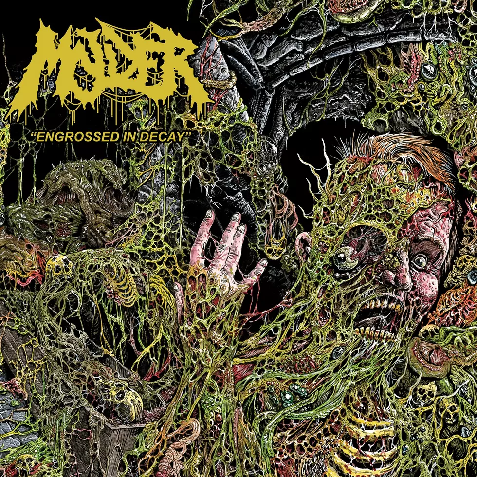 &#8220;Engrossed in Decay,&#8221; Molder Focus on Death Metal&#8217;s Thrilling Horror (Early Track Stream)