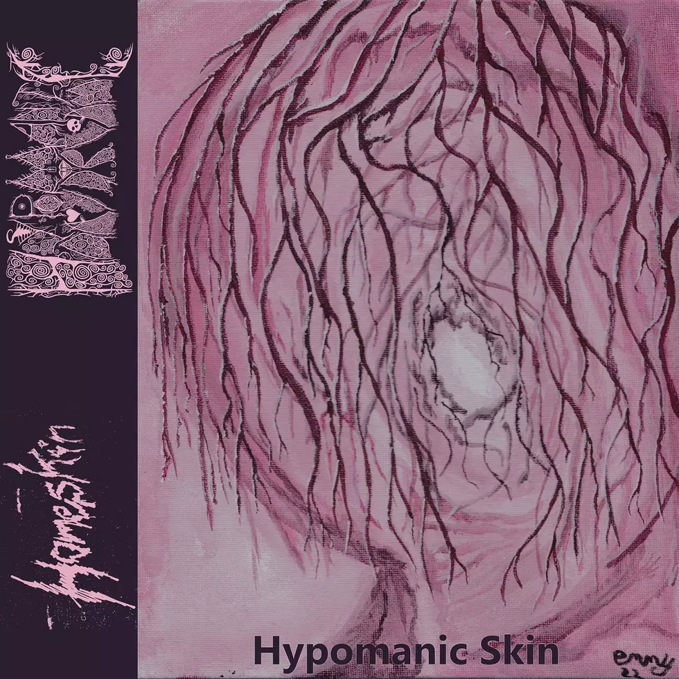 Hypomanic Daydream and Homeskin Join Forces on &#8220;Hypomanic Skin&#8221; (Full Split Album Debut)