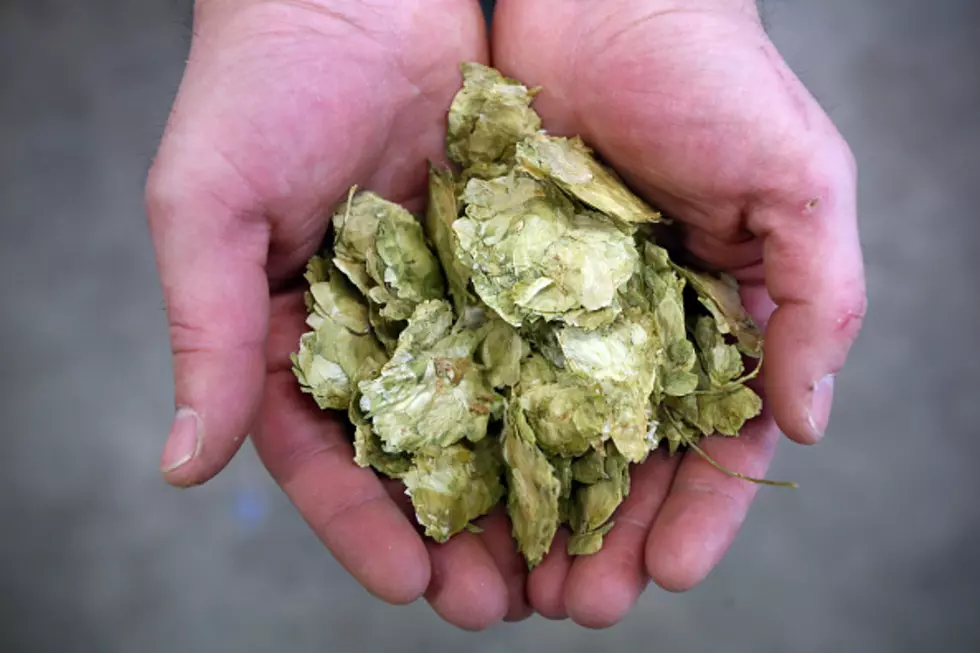 We Are Giving Away Passes to the Fresh Hop Ale Festival