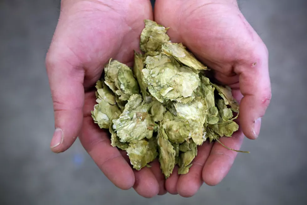 Brewers Like Florida Hops and Ag Economy Barometer Plummets