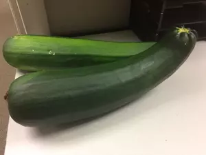 Why Do So Many People Have So Many Zucchinis to Give Away?