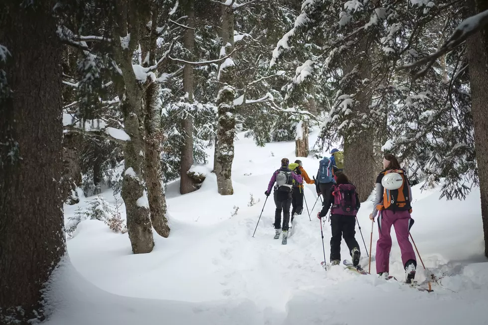 Winter Fun in Washington State Parks for Free!