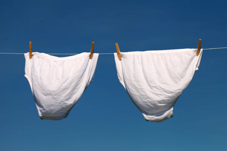 Celebrate National Underwear Day – Boxers or Briefs? [POLL]
