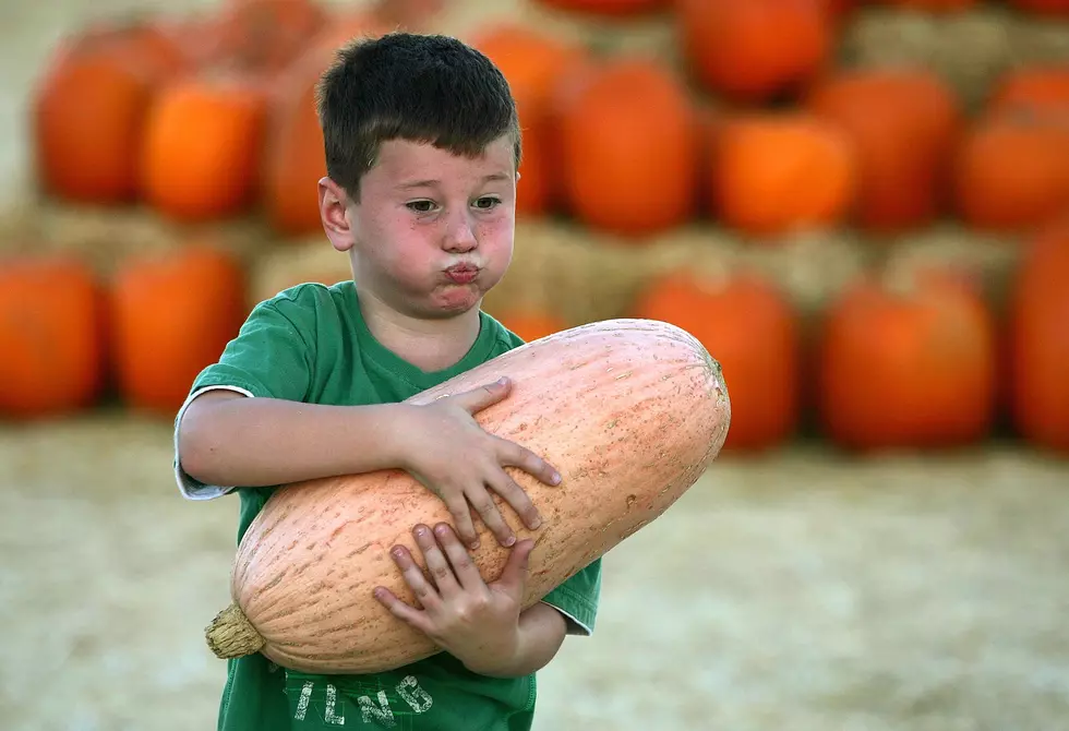 The Top 4 Great places to get Pumpkins in Eastern Washington