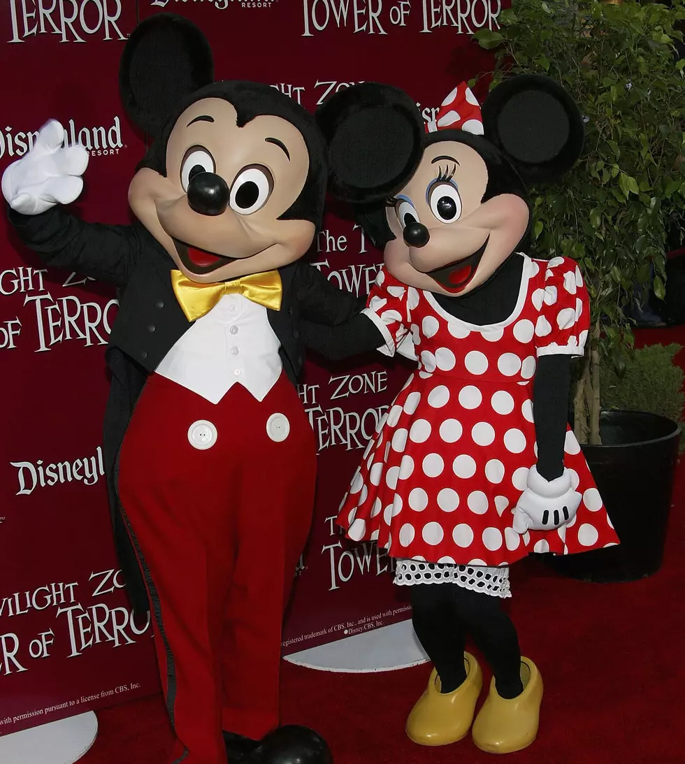 Are Mickey And Minnie Mouse Twins? I Thought They Were Married!