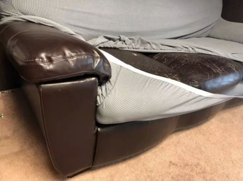 Top 5 WORST Free Couches Available Right Now On Craigslist