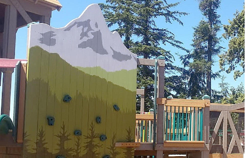 Yakima Greenway Needs Volunteers to Rebuild McGuire Playground