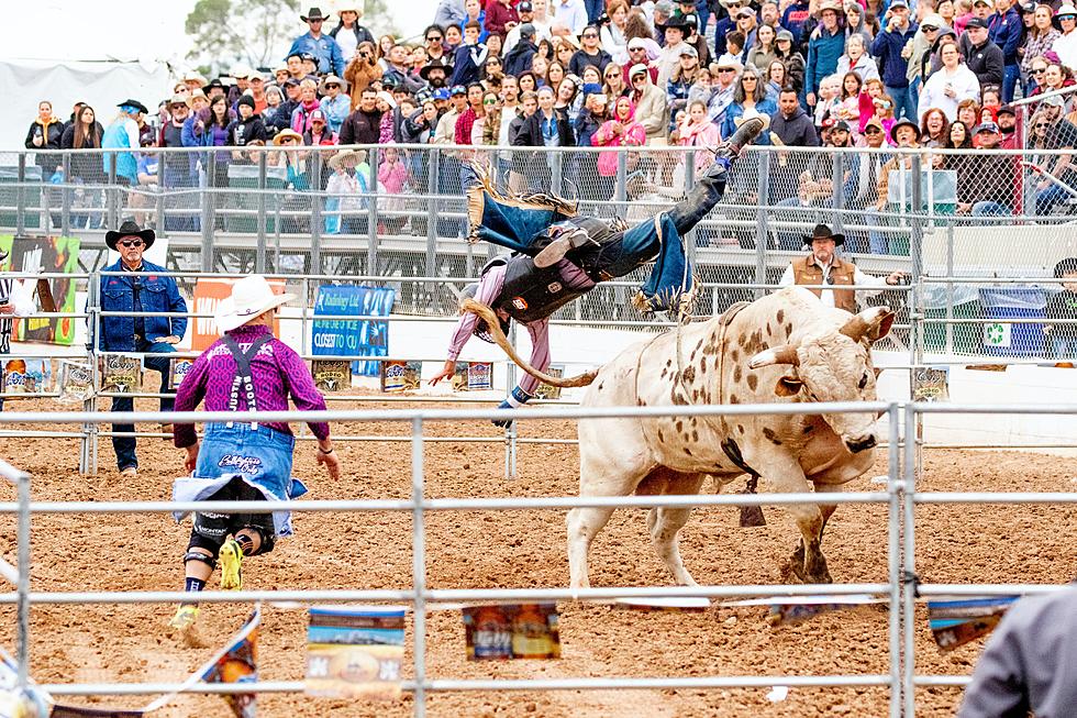 Top 5 Things You’ll See at Practically ANY Rodeo [LIST]